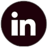 LinkedIn Icon